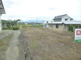 現地