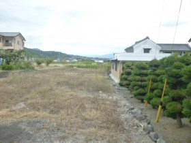 現地